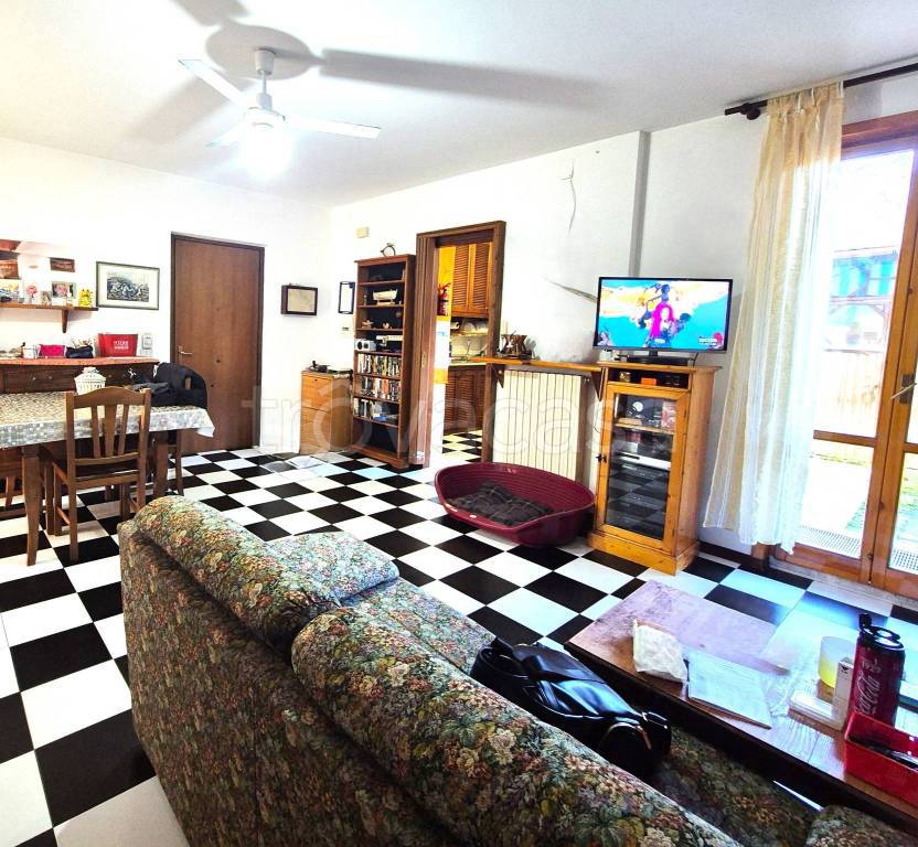 immagine annuncio 12 di 15