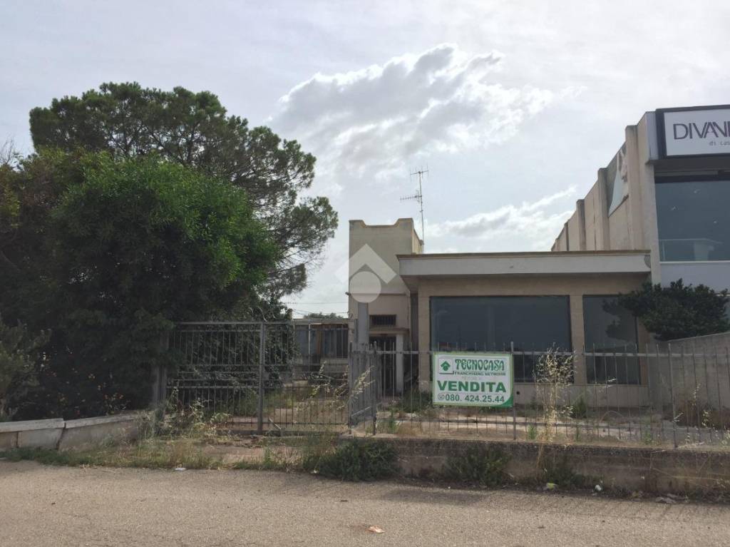 immagine annuncio 4 di 12