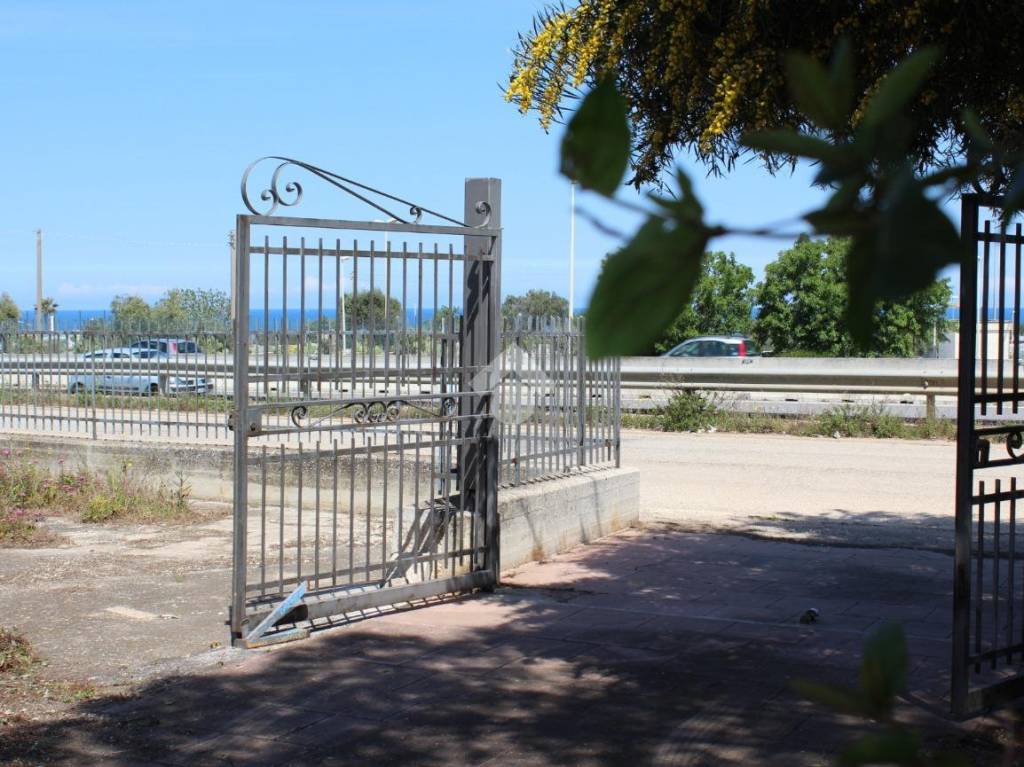 immagine annuncio 5 di 12