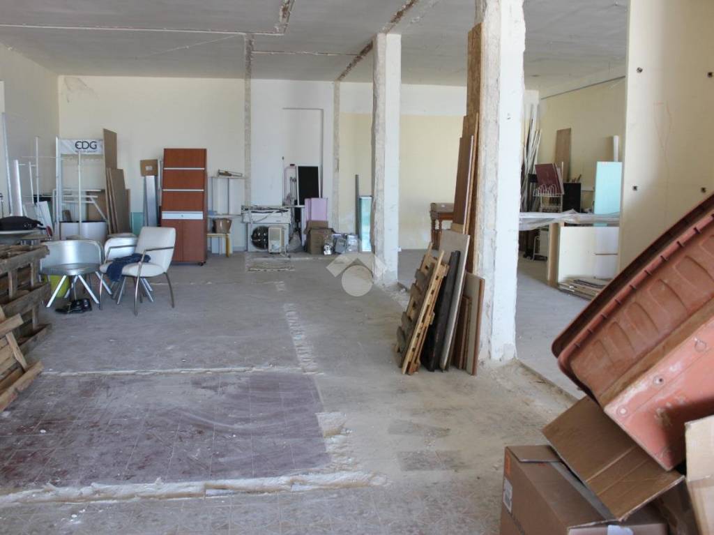 immagine annuncio 9 di 12