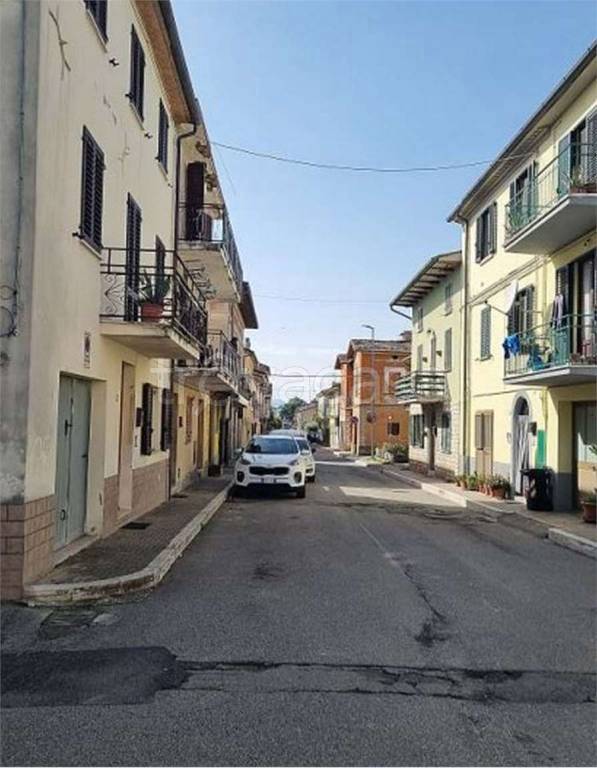 immagine annuncio 5 di 14