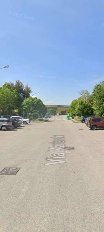 immagine annuncio 10 di 15