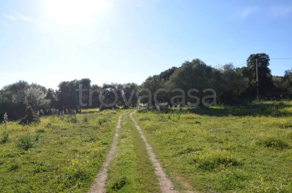 immagine annuncio 5 di 14