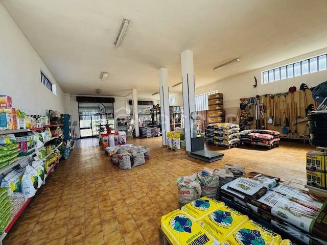 immagine annuncio 5 di 12