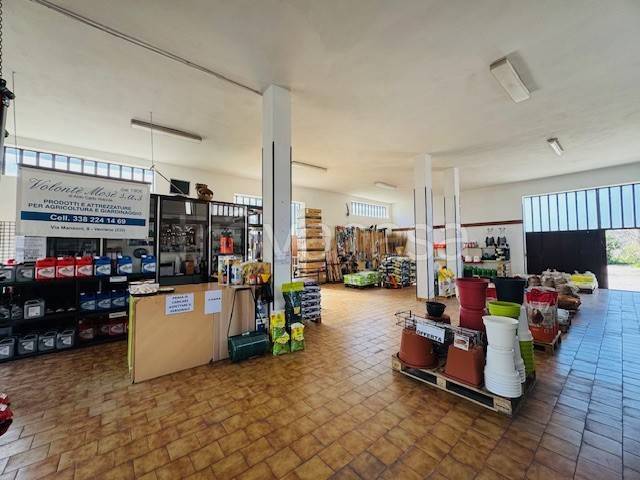 immagine annuncio 6 di 12