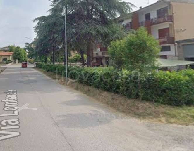 immagine annuncio 11 di 15