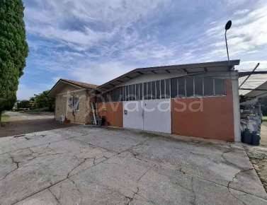 immagine annuncio 4 di 14