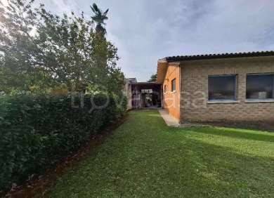 immagine annuncio 5 di 14