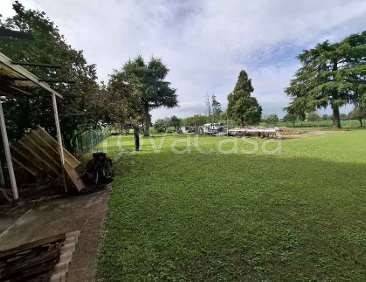 immagine annuncio 6 di 14