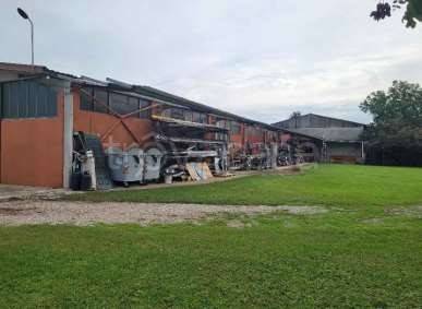 immagine annuncio 7 di 14