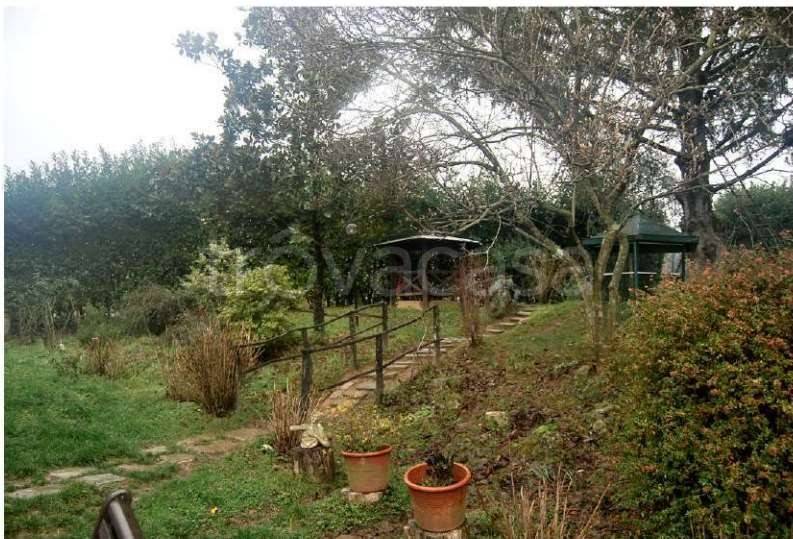 immagine annuncio 4 di 14