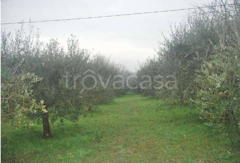 immagine annuncio 5 di 14