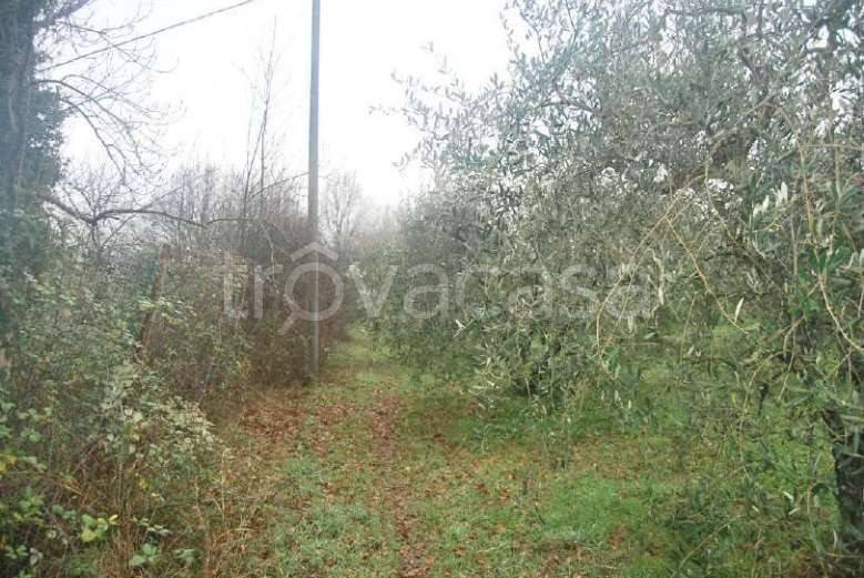 immagine annuncio 6 di 14