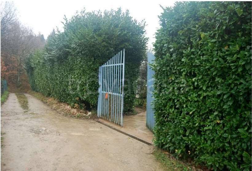 immagine annuncio 9 di 14