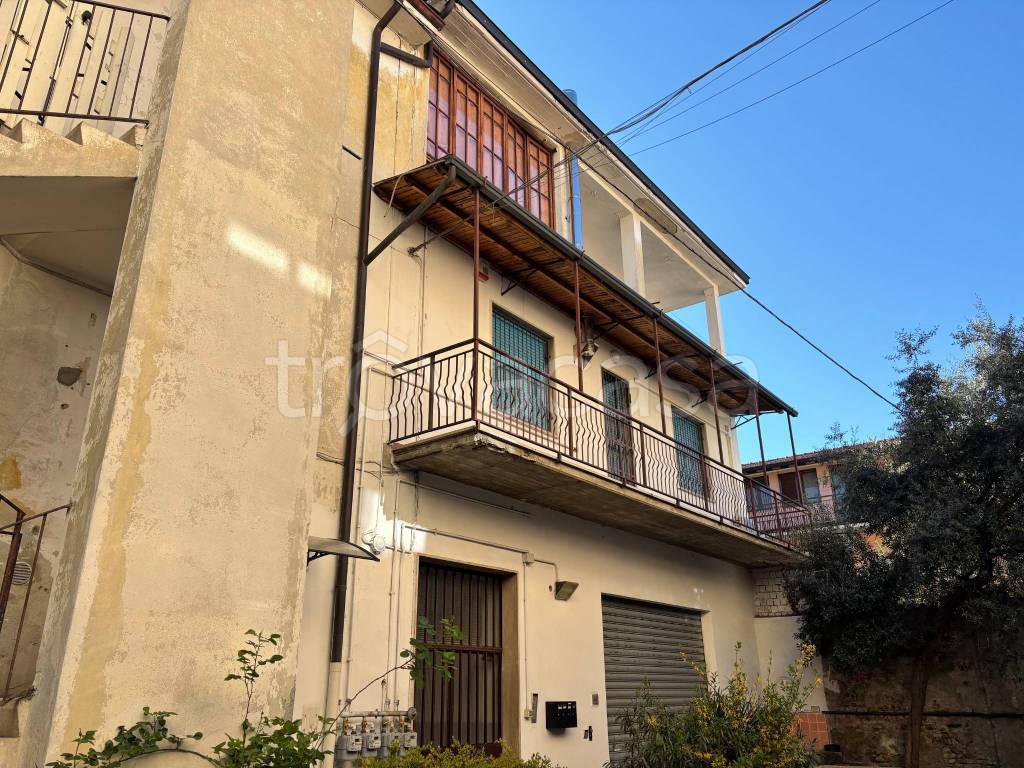 immagine annuncio 2 di 11