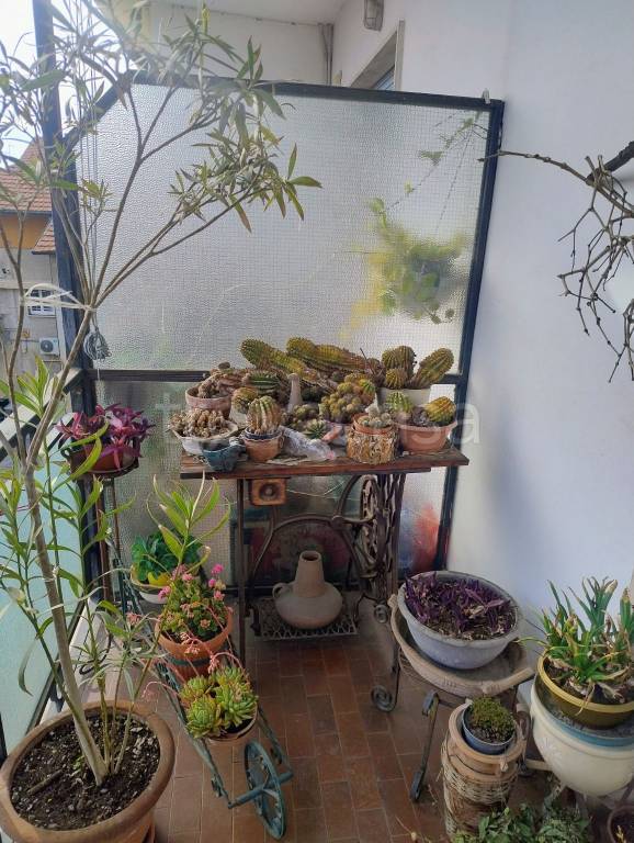 immagine annuncio 3 di 11