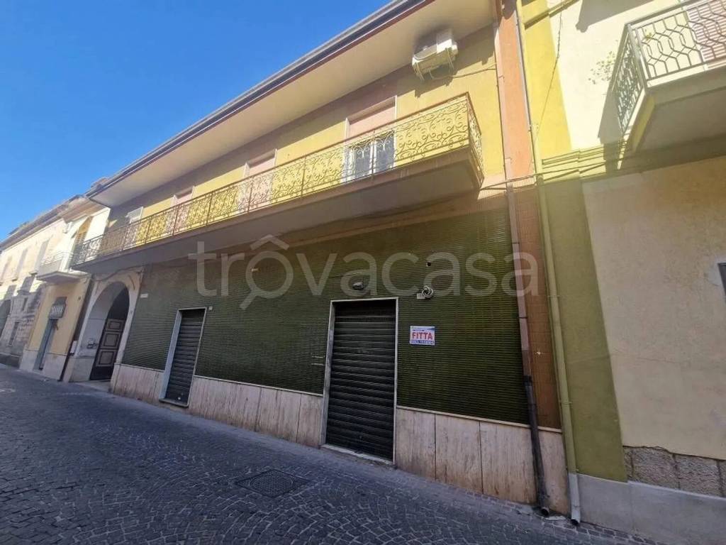 immagine annuncio 2 di 11