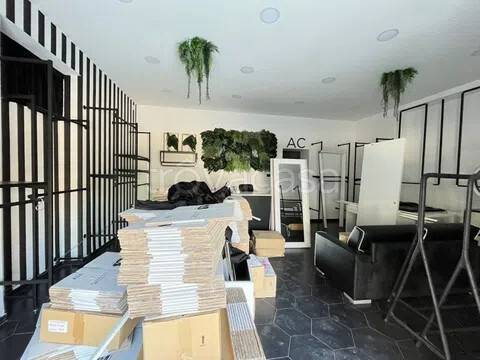 immagine annuncio 4 di 14