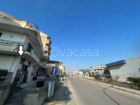 immagine annuncio 11 di 14