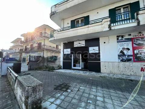 immagine annuncio 12 di 14