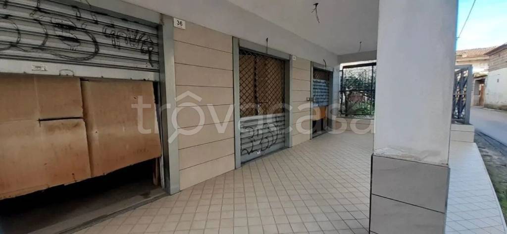 immagine annuncio 3 di 6