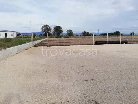 immagine annuncio 2 di 8