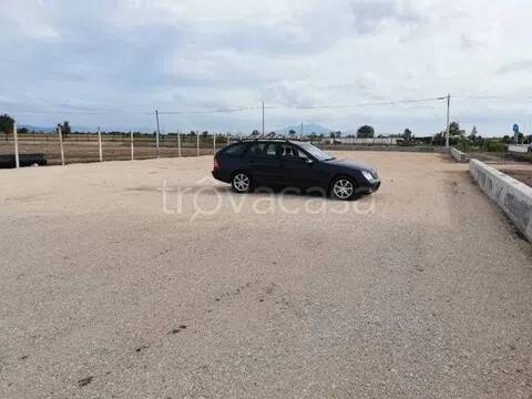 immagine annuncio 3 di 8