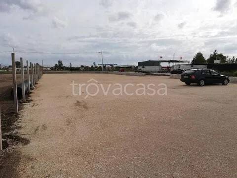 immagine annuncio 4 di 8