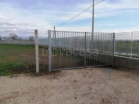 immagine annuncio 5 di 8