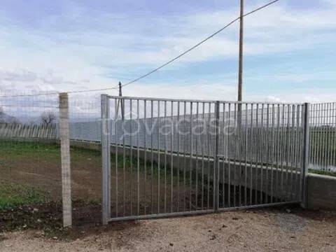 immagine annuncio 6 di 8