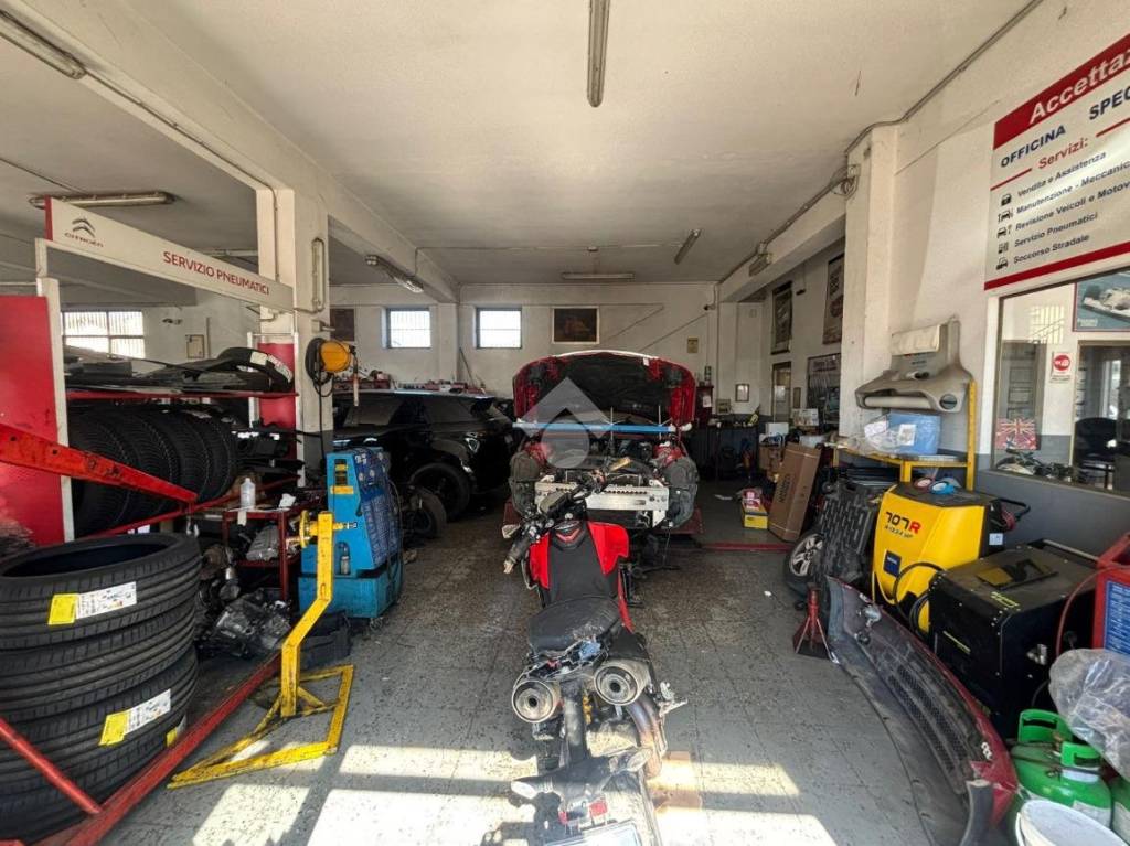 immagine annuncio 3 di 15