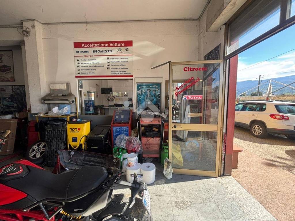 immagine annuncio 4 di 15