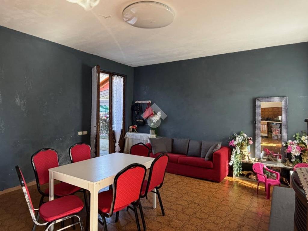 immagine annuncio 5 di 14