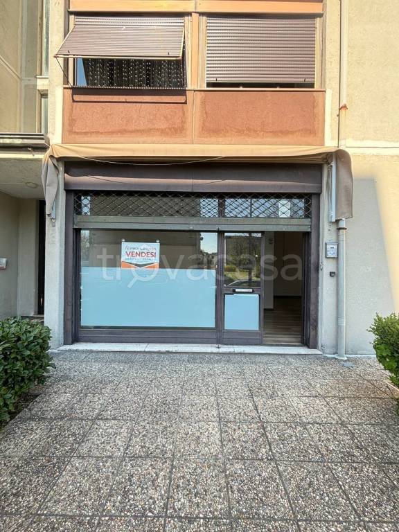 immagine annuncio 11 di 14