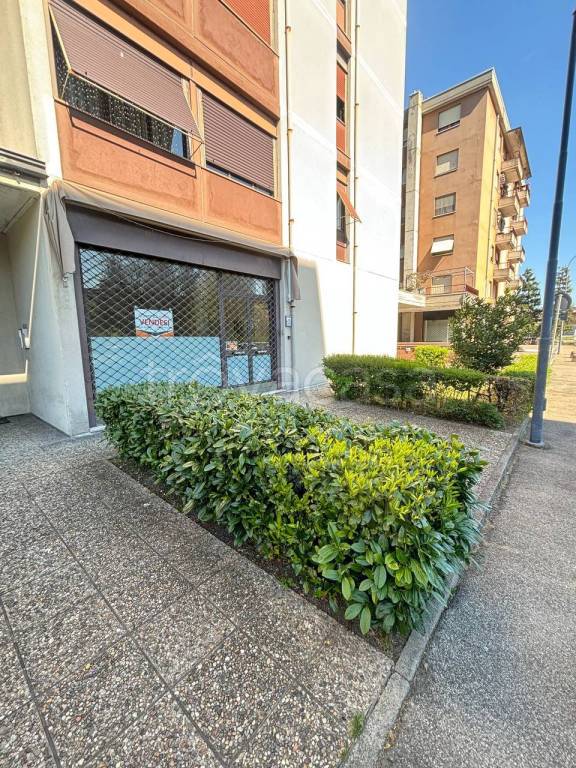 immagine annuncio 13 di 14