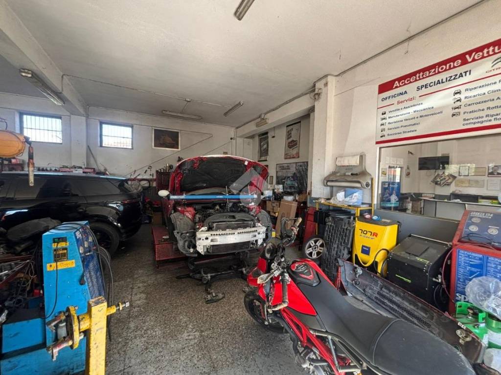 immagine annuncio 2 di 15