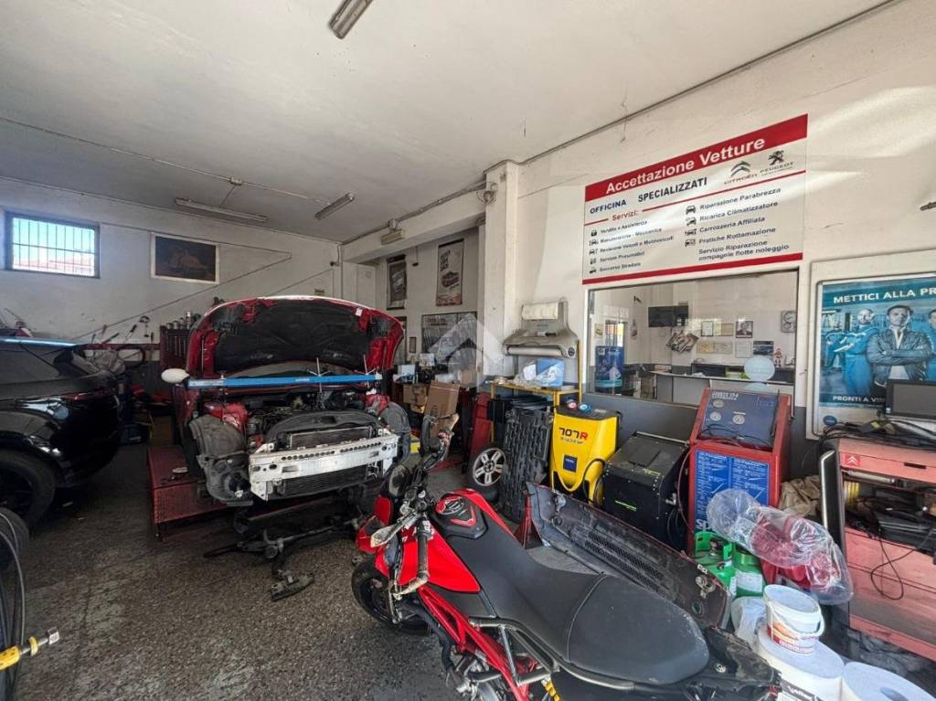 immagine annuncio 4 di 15