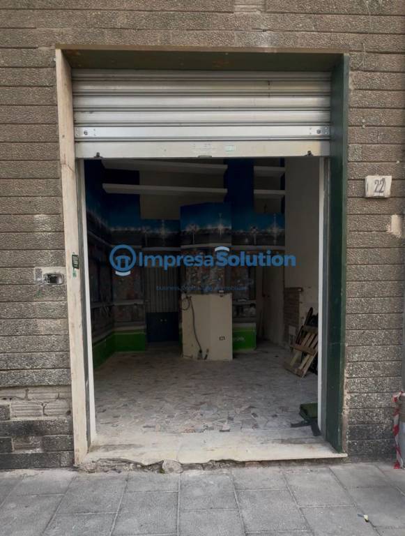 immagine annuncio 4 di 14