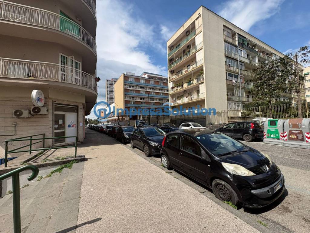 immagine annuncio 2 di 14