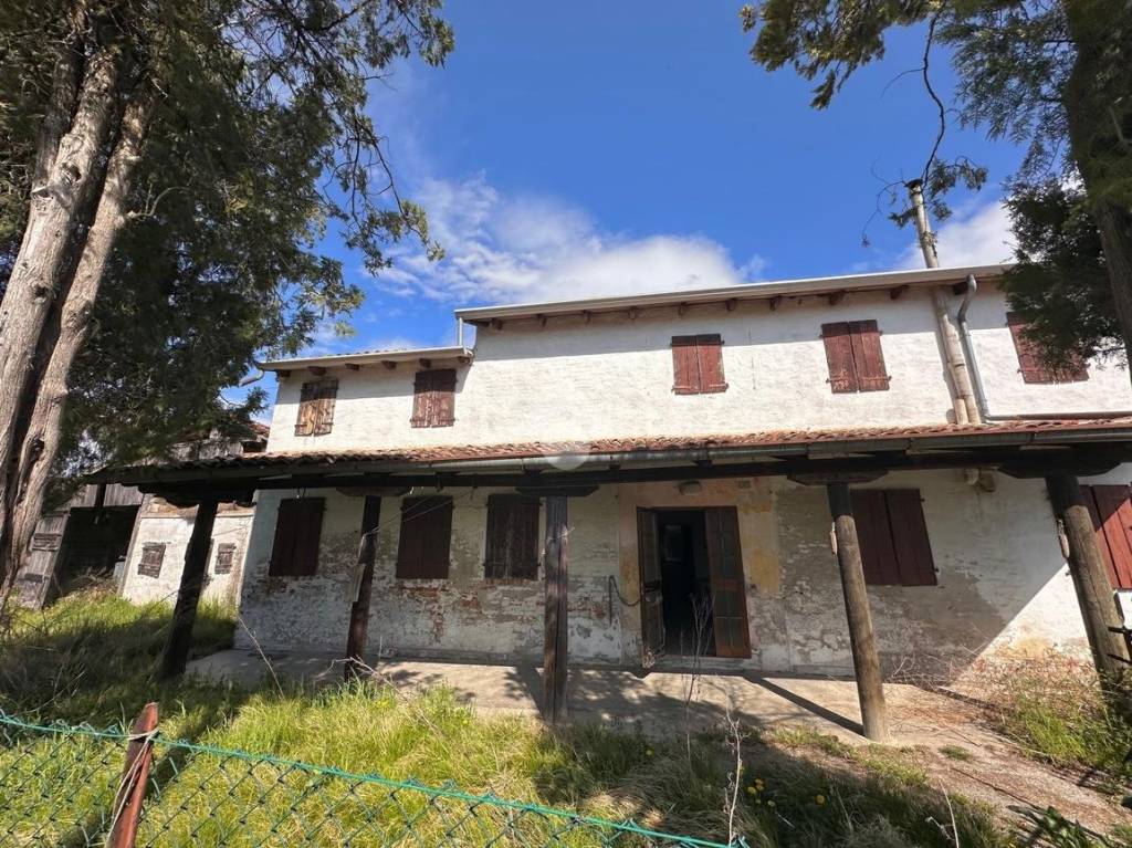 immagine annuncio 1 di 14