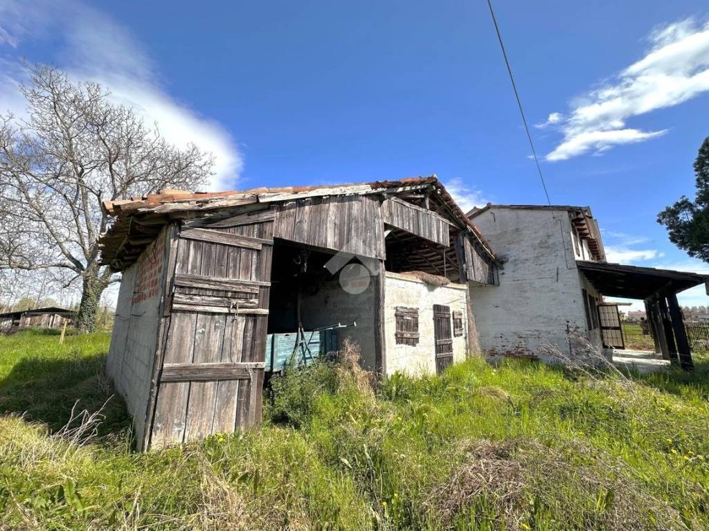 immagine annuncio 2 di 14