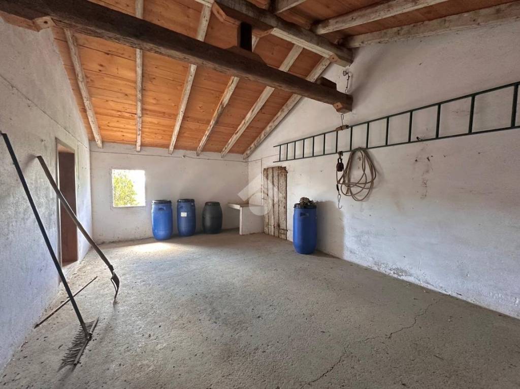 immagine annuncio 7 di 14