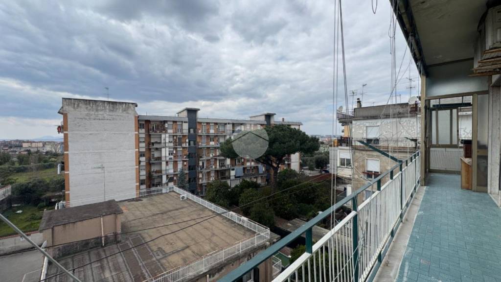 immagine annuncio 6 di 13