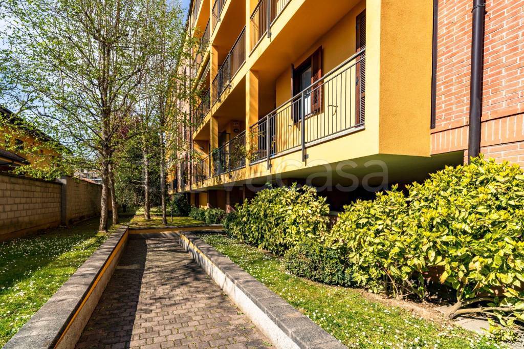 immagine annuncio 1 di 15