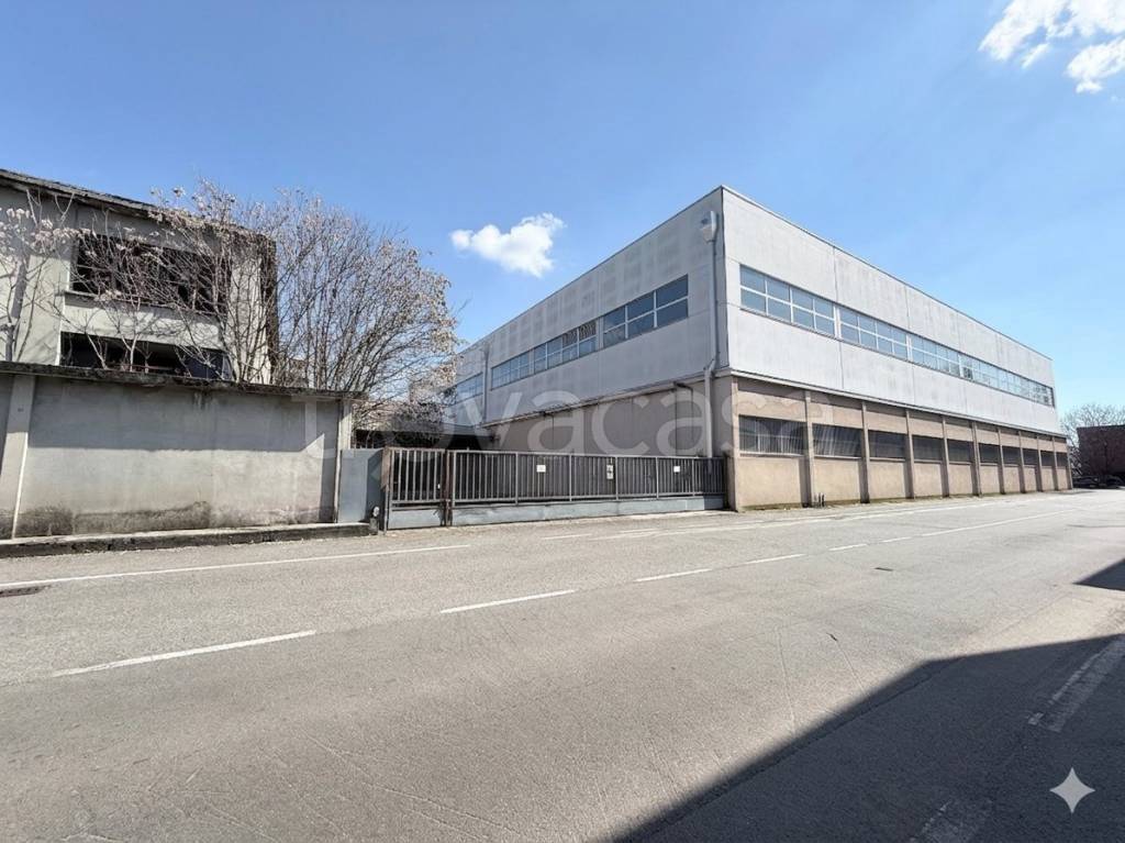 immagine annuncio 1 di 11