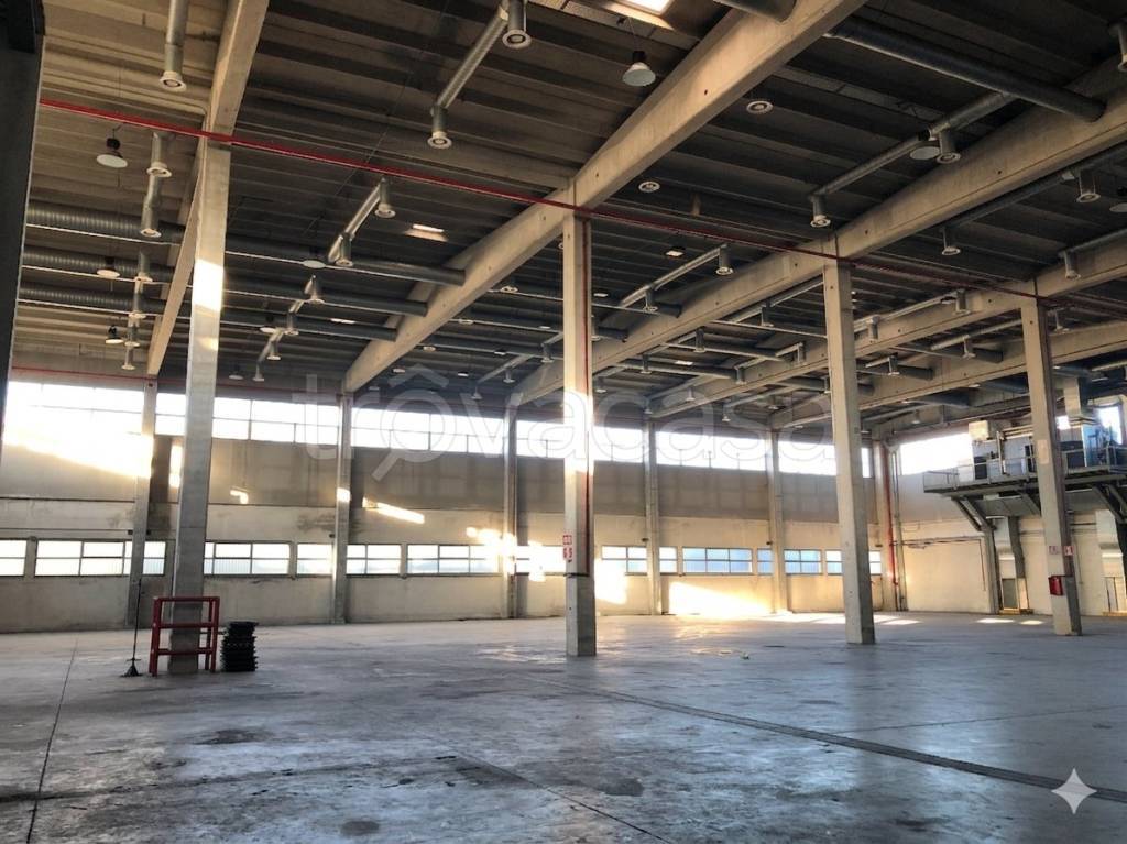 immagine annuncio 3 di 11