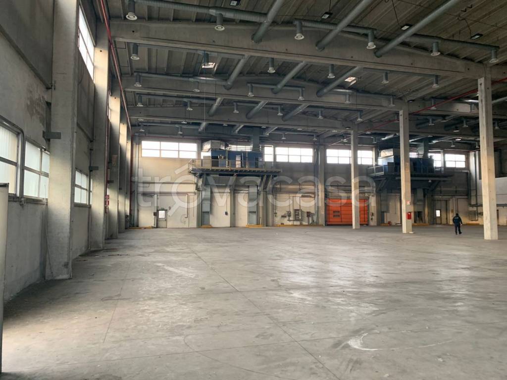 immagine annuncio 5 di 11