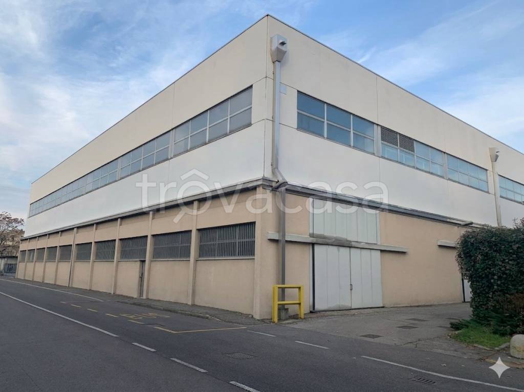 immagine annuncio 6 di 11