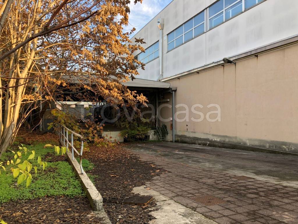 immagine annuncio 7 di 11