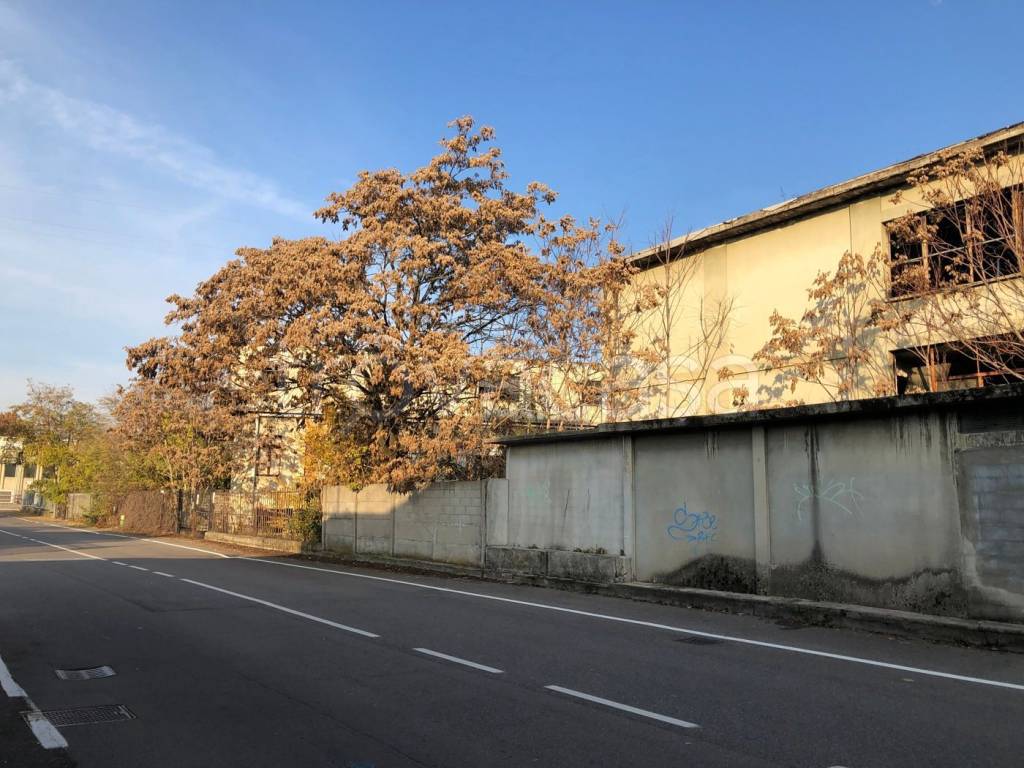 immagine annuncio 9 di 11